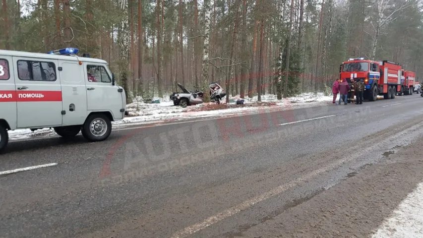 Пад Любанню “Нісан” урэзаўся ў дрэва, два чалавекі загінулі