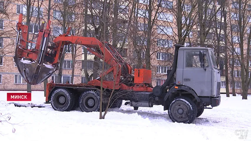 Як з месца, дзе будзе нацыянальны футбольны стадыён, перасаджваюць дрэвы (відэа)