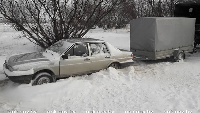 Кантрабандысты перапраўлялі праз беларускую мяжу плыт з 35 тушамі цяляціны