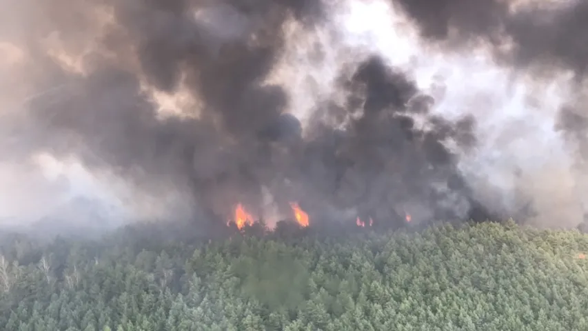 За мінулыя суткі ліквідаваныя пажары на плошчы амаль 100 гектараў