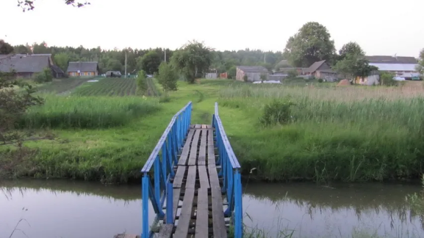 У Смаргонскім раёне адбыўся масавы мор рыбы (фота)