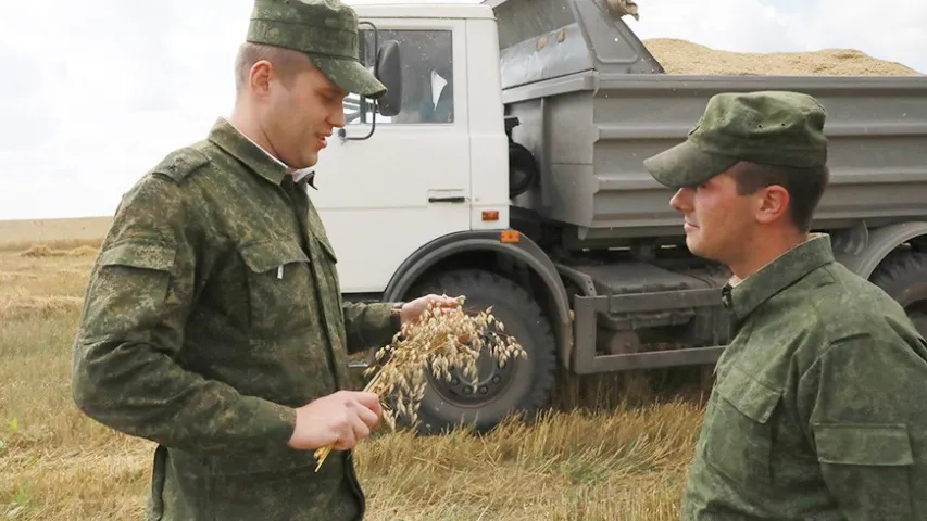 У Магілёўскай вобласці на ўборку збожжа вывелі вайскоўцаў