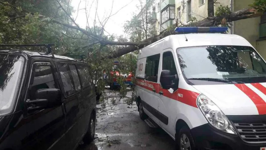 У Мінску моцны вецер паваліў дрэва на тры аўто, у тым лiку хуткую дапамогу