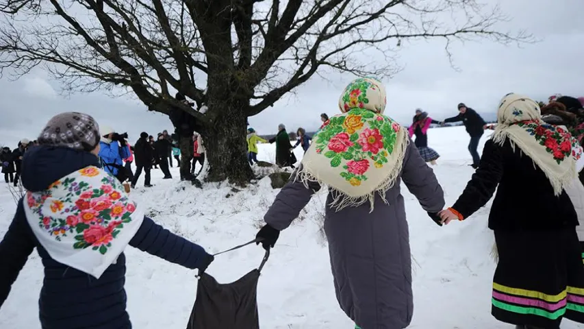 Як Каляду на дуба цягнулі