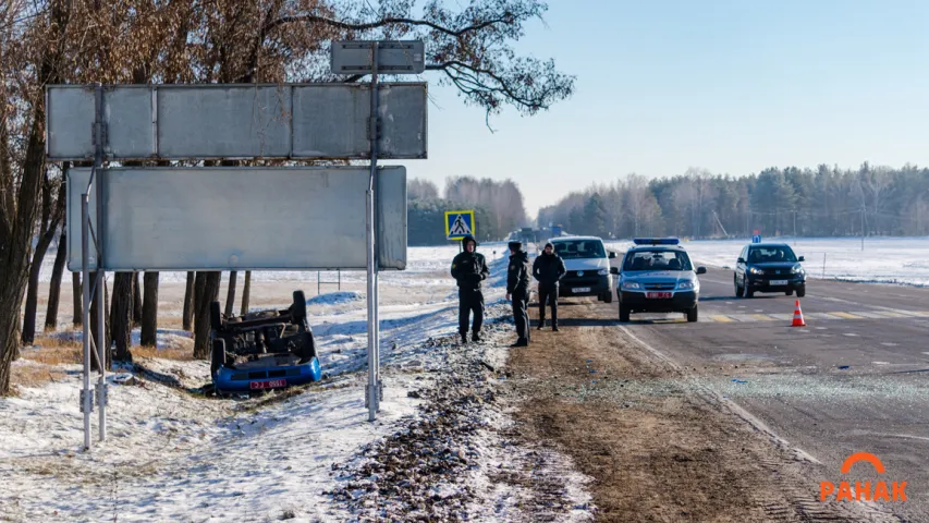 Пад Светлагорскам у ДТЗ перакуліўся міліцэйскі ВАЗ, пацярпеў службовы сабака