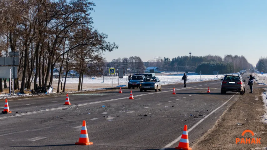 Пад Светлагорскам у ДТЗ перакуліўся міліцэйскі ВАЗ, пацярпеў службовы сабака