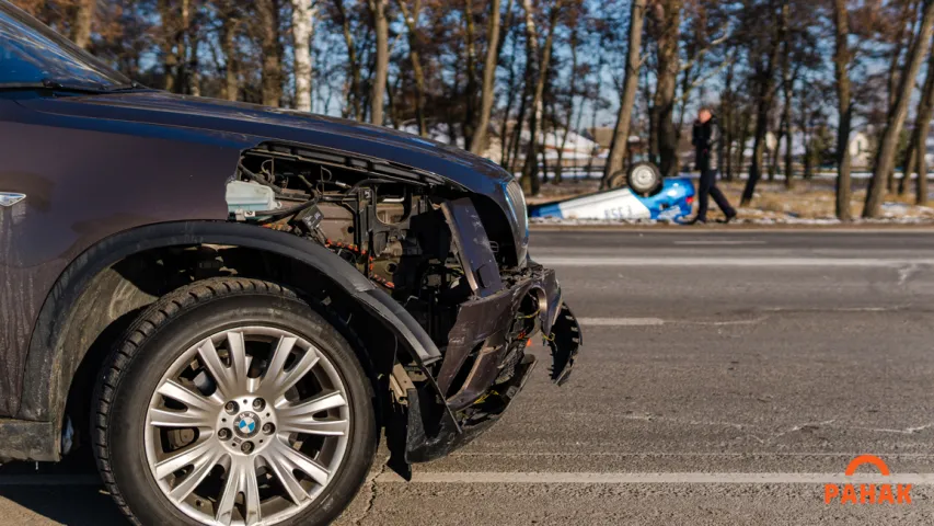 Пад Светлагорскам у ДТЗ перакуліўся міліцэйскі ВАЗ, пацярпеў службовы сабака