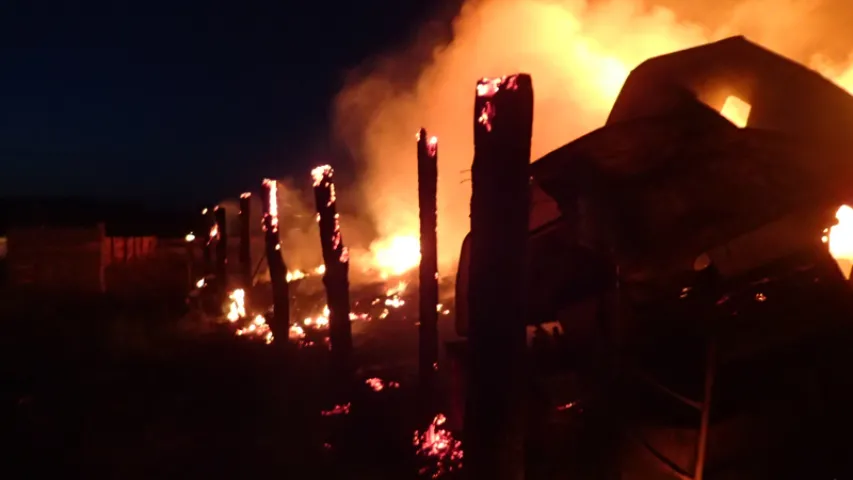 Склад дрэваапрацоўчага прадпрыемства загарэўся пад Гомелем (фота, відэа)