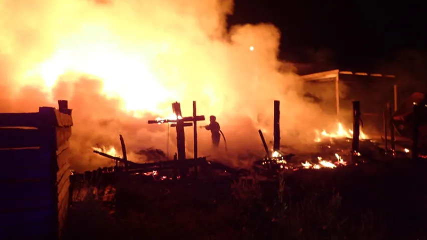 Склад дрэваапрацоўчага прадпрыемства загарэўся пад Гомелем (фота, відэа)