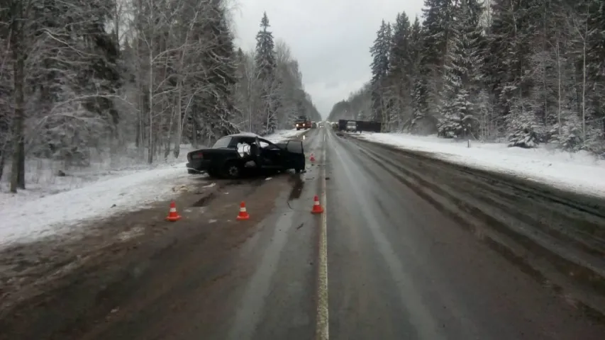 Пры ДТЗ з беларускім аўтобусам на Пскоўшчыне шпіталізаваныя 11 чалавек