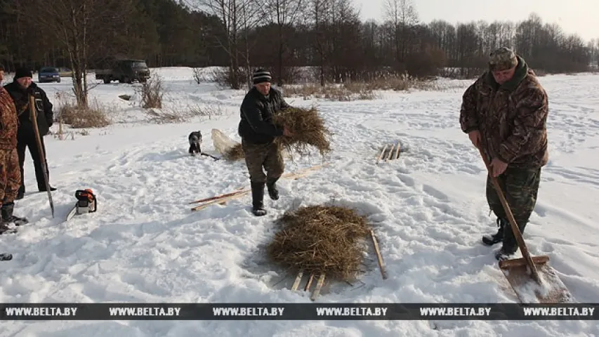 У Гомельскай вобласці рыбу ў рэках ратуюць ад кіслароднага галадання (фота)