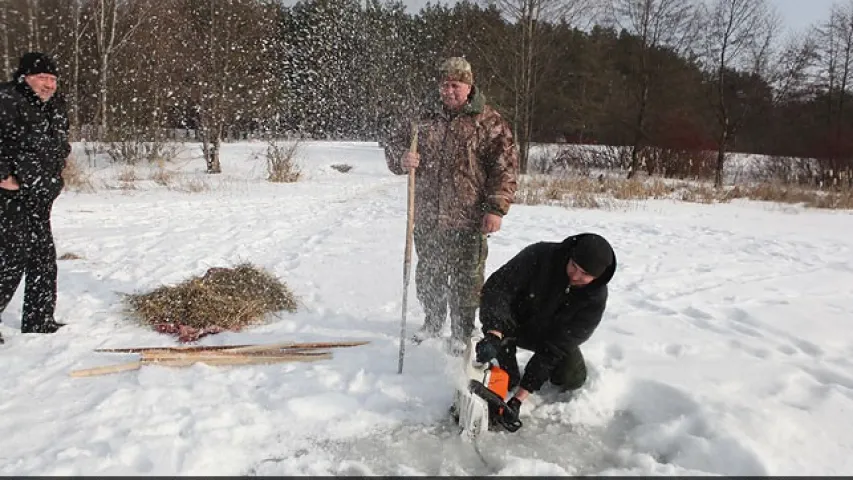 У Гомельскай вобласці рыбу ў рэках ратуюць ад кіслароднага галадання (фота)