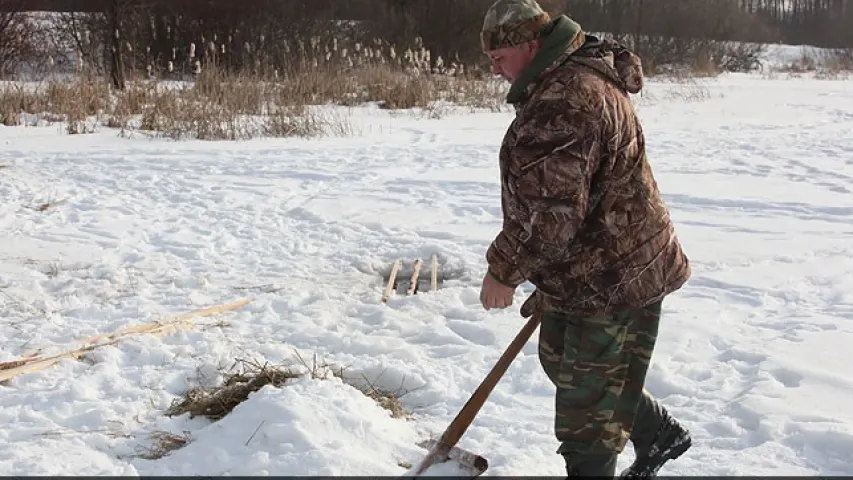 У Гомельскай вобласці рыбу ў рэках ратуюць ад кіслароднага галадання (фота)