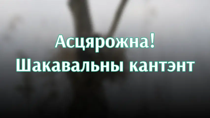 Каждый день в Беларуси убивают десятки бакланов: за что?