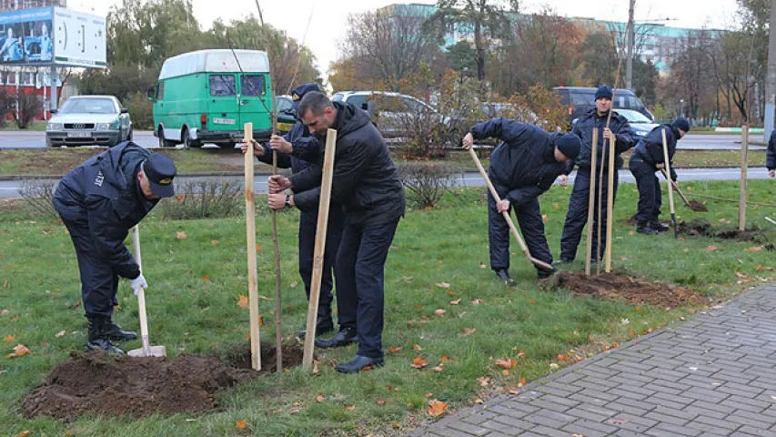 У Гомелі “людзі ў цывільным” са Следчага камітэта высадзілі алею дрэваў