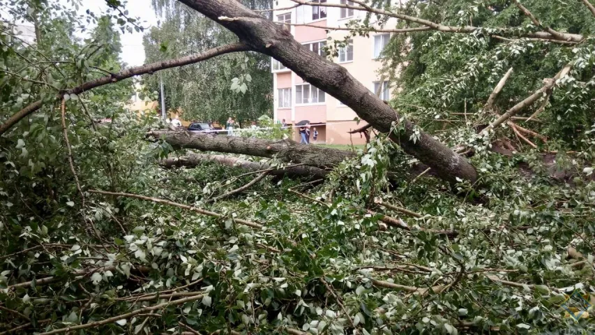 Залева ў Мінску спыніла рух дзевяці тралейбусных маршрутаў