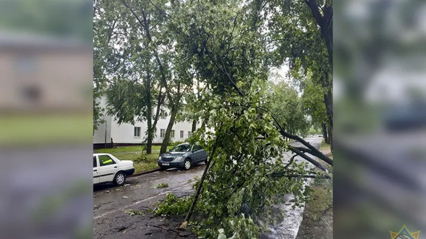 Залева ў Мінску спыніла рух дзевяці тралейбусных маршрутаў