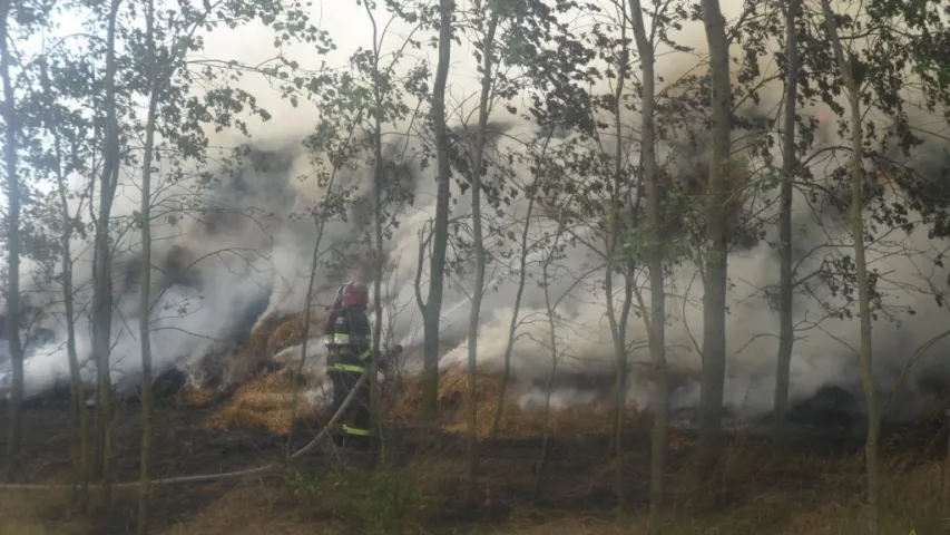 Пад Жлобінам у полі згарэла 45 тон саломы