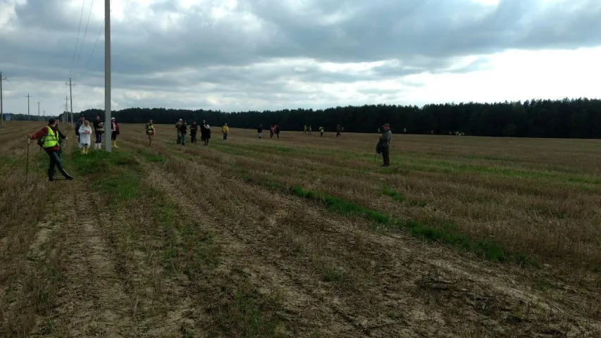 Адзін дзень валанцёра: Як шукаюць зніклага хлопчыка ў Белавежскай пушчы