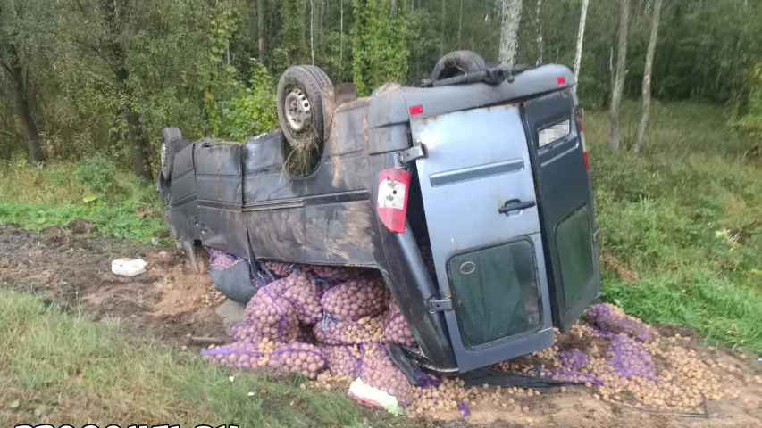 У Рэчыцкім раёне перакуліўся Mercedes з бульбай (фота)