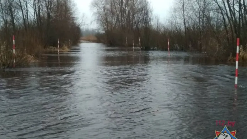 Паводка на Пцічы затапіла ўчастак дарогі ў Петрыкаўскім раёне 