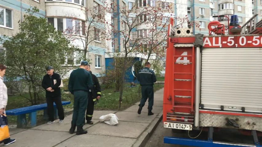 Брэсцкія ратавальнікі лавілі змяю ў шафе (фота)