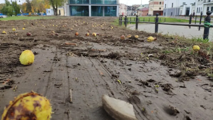 Ля Зыбіцкай камунальнікі груба перакапалі гістарычную набярэжную