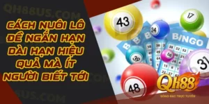 Cách nuôi lô đề ngắn hạn dài hạn