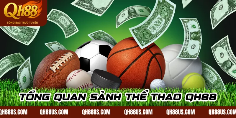 Tổng Quan Sảnh Thể Thao QH88
