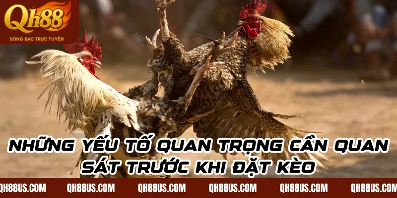 Những yếu tố quan trọng cần quan sát trước khi đặt kèo